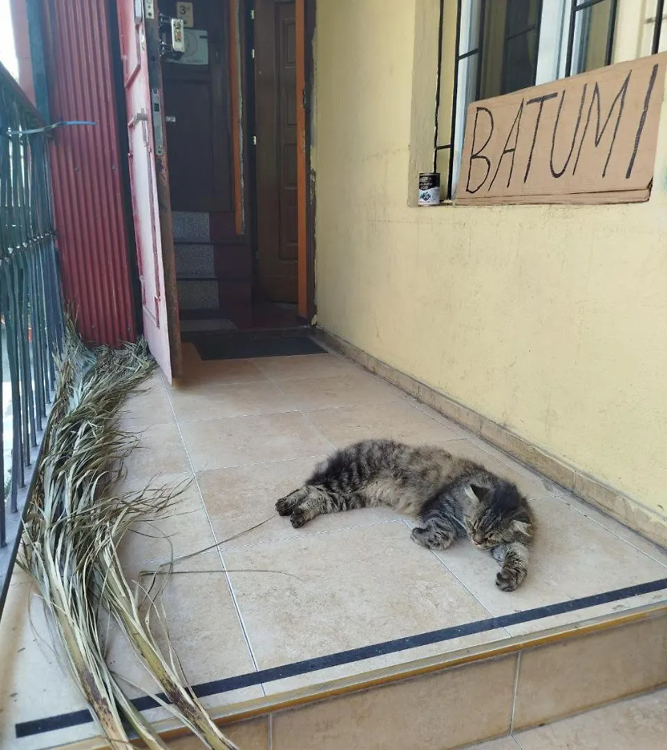 Harmony Backpackers Hostel Batoumi